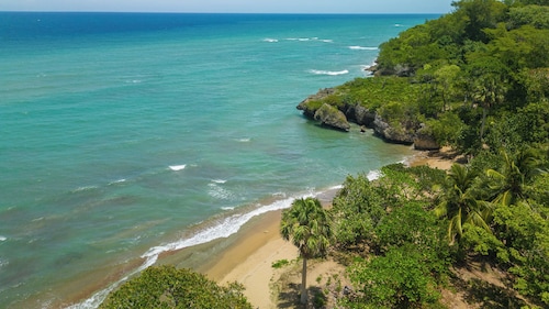 big 5 casino no deposit bonus 2020