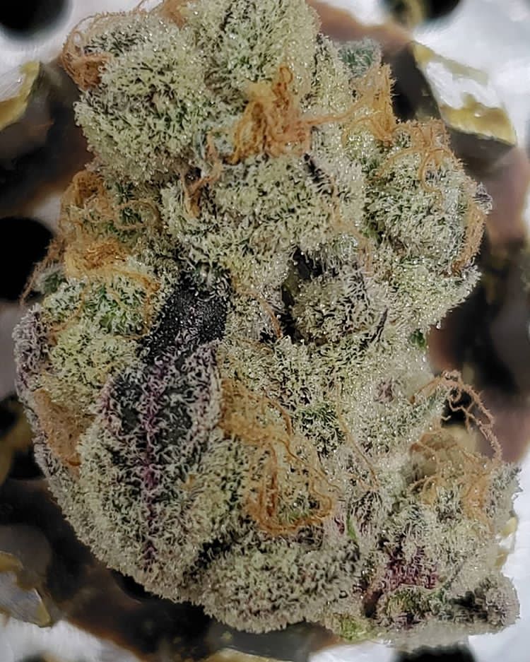 weed cafes in london