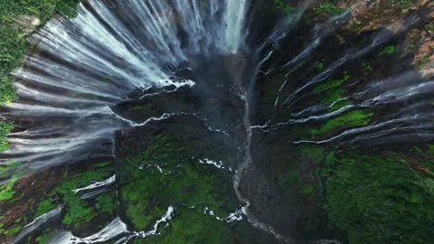 Spinrise App-Download