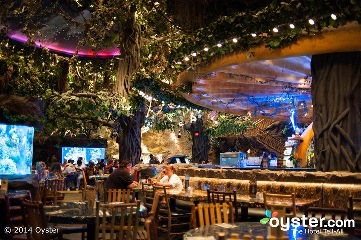 top 5 online casino nz