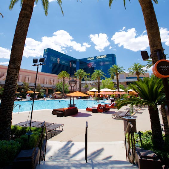 Herr Bet Casino erstellen ein Konto