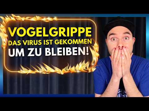 wildsino casino bonus crab