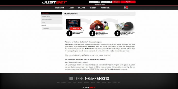 dead or alive play for fun