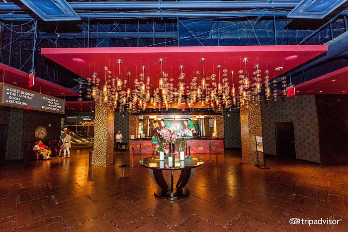 island pokie big win