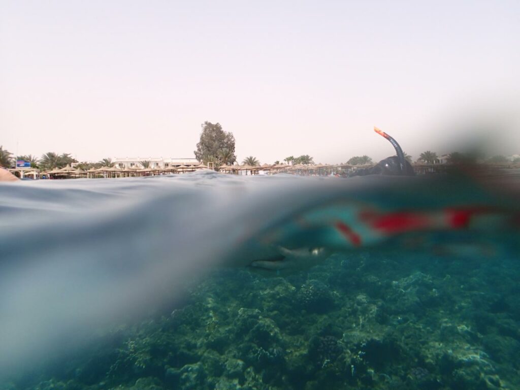 jugar tragamonedas gratis bombay