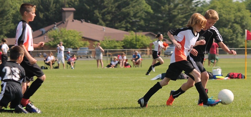 dafabet cricket betting tips