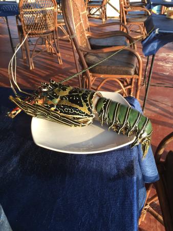 no deposit bonus liberty slots