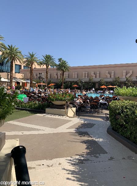 paradise 8 online casino login