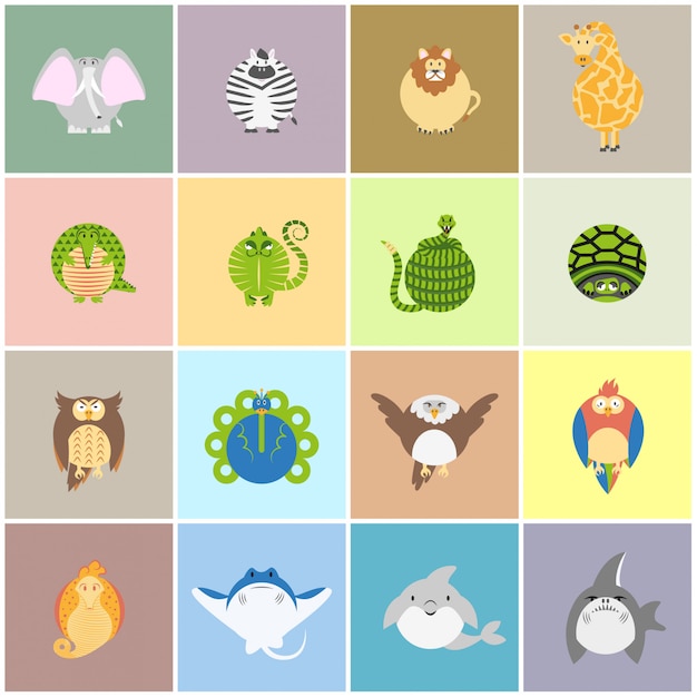 50 sin giros de depósito gladiator